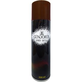 Güngörür Kahverengi 200 ml Sprey Boya