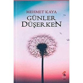 Günler Düşerken Mehmet Kara