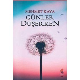 Günler Düşerken Mehmet Kara