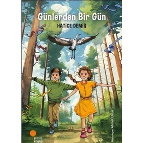 Günlerden Bir Gün - Hatice Demir
