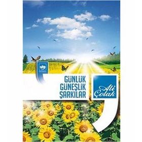 GÜNLÜK GÜNEŞLİK ŞARKILAR - ALI ÇOLAK