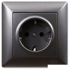 Günsan Elektrik 01281700-100116 Visage Çocuk Korumalı Füme Topraklı Priz