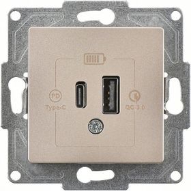 Günsan Eqona 2 Çıkışlı Usb Metalik Bej Şarj Prizi Mekanizma