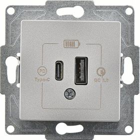 Günsan Eqona Gümüş 2 Çıkışlı 20W Type-A Type-C Mekanizma USB Şarj Prizi