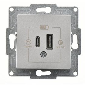 Günsan Eqona Gümüş 2 Çıkışlı 20W Type-A Type-C Mekanizma USB Şarj Prizi