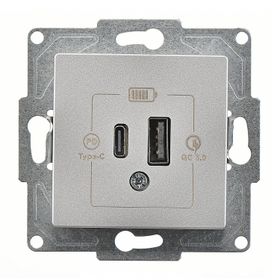 Günsan Eqona Gümüş 2 Çıkışlı 20W Type-A Type-C Mekanizma USB Şarj Prizi