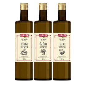 Gurvita Organik Sirke Seti 500 Ml 3' Lü