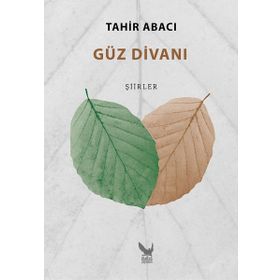 Güz Divanı - Tahir Abacı