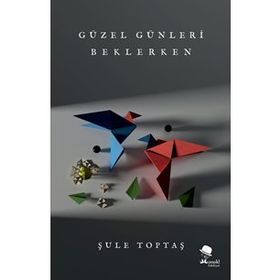 Güzel Günleri Beklerken - Şule Toptaş