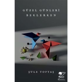 Güzel Günleri Beklerken - Şule Toptaş