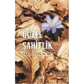 Güzel Şahitlik - Sadettin Acar