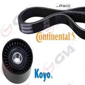 Gva 59A7509 Caddy III 10 Golf V-VI-Plus 07 Passat 05 1.6-2.0 Kütüksüz Alternatör Gergi Kiti