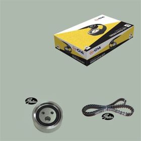 Gva 59T1410G 096X170 cm Clio II-Kangoo-Megane-Logan-Sandero-Solenza 1.4-1.6 Eksantrik Gergi Kiti