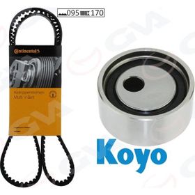 Gva 59T1411 095X170 cm Clio I-R19 1.2-1.4 90-98-88-95 Megane I 1.4-1.6 Eksantrik Gergi Kiti