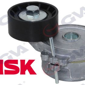 Gva Partner-P206-306-307-Boxer-Berlingo-Jumpy-Jumper-Ducato 1.9 D-2.0 D Kütüklü Alternatör Gergi Rulmanı