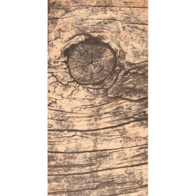 Gvn Art Ahşap Yapışkanlı Sticker 15x30 cm G466 Rustik Huş Ağacı Maket