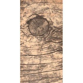Gvn Art Ahşap Yapışkanlı Sticker 15x30 cm G466 Rustik Huş Ağacı Maket
