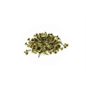 Gvn Art Mini 2.2x9.5 mm 12 gr Menteşe Vidası