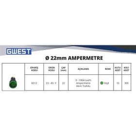 Gwest 22 AS-Y 100A Yeşil AD-116 Ampermetre