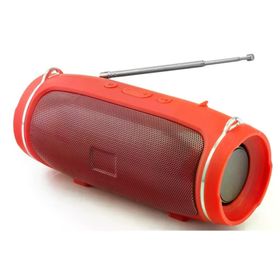 Hadron Chargemin4 Kırmızı Müzik Çalar