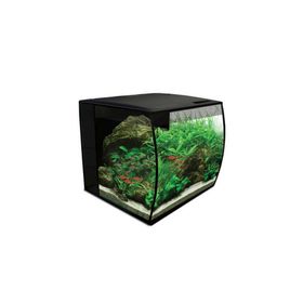 Hagen Fluval 34 lt Siyah Flex Akvaryum