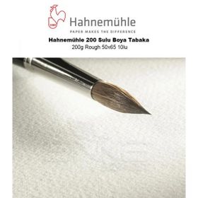Hahnemühle 200 g Rough 50x65 10'lu 200 Sulu Boya Tabaka