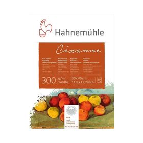Hahnemühle 5669689 Rough 300 gr 30x40 cm 10 Sayfa Cezanne Sulu Boya Blok