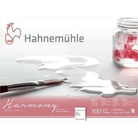 Hahnemühle Harmony Cold Press 300 gr 30x40 cm 12 Yaprak Sulu Boya Blok