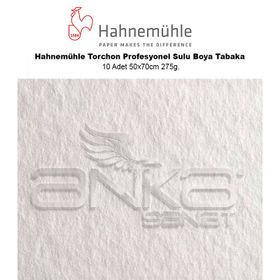 Hahnemühle Torchon Profesyonel 10 Adet 50x70 cm 275 gr Sulu Boya Tabaka