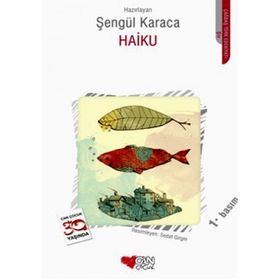 Haiku - İlknur Akman Erk