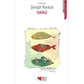 Haiku - İlknur Akman Erk