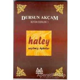 HALEY (ÖYKÜ) - DURSUN AKÇAM