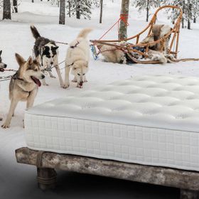 Halsa Lappland Pro Flex Yay Sistemli Yün 160x200 cm Yatak