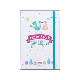 Hamilelik Günlüğüm - Evrim Gürel Süveydan