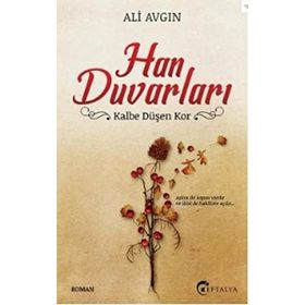 Han Duvarları - Ali Avgın