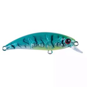 Hanfish 50 KG SPK-23 Zıpır Tropical Shrimp Suni Yem