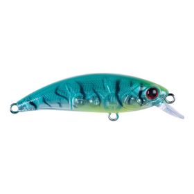 Hanfish 50 KG SPK-23 Zıpır Tropical Shrimp Suni Yem