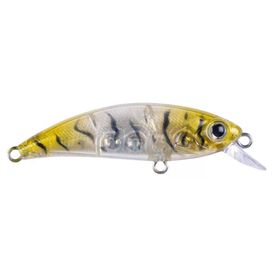 Hanfish Zıpır 50 kg K-22 Glass Shrimp