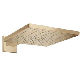 Hansgrohe 26250140 HG Raindance® 300 1 Jet Tavan Bağlantısı İle Mat Bronz E Tepe Duşu