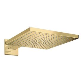 Hansgrohe 26250990 HG Raindance 300 1 Jet Tavan Bağlantısı ile Parlak Altın Optik E Tepe Duşu