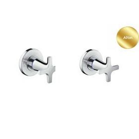 Hansgrohe 71976990 Logis Classic Ankastre Sıva Üstü Altın Stop Valf