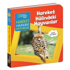 Hareket Halindeki Hayvanlar - İlk Kitaplarım Serisi - Beta Kids Yayınları