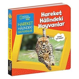 Hareket Halindeki Hayvanlar - İlk Kitaplarım Serisi - Beta Kids Yayınları