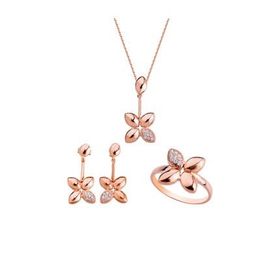 Harem Altın GMS128 Kadın Gümüş Set