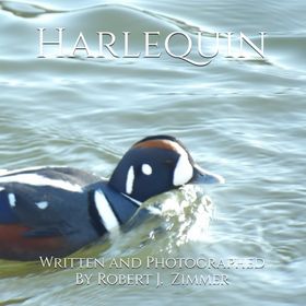 Harlequin - Laurell K. Hamilton - Artemis Yayınları