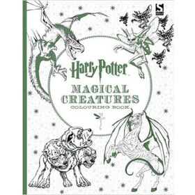 Harry Potter Colouring Book