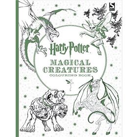 Harry Potter Colouring Book