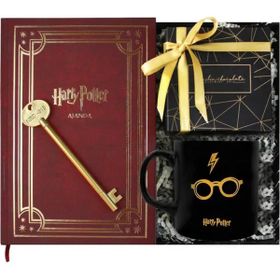 Harry Potter Gryffindor Hediye Kutusu