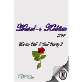 Hasıl-ı Kelam - Ekrem Gül