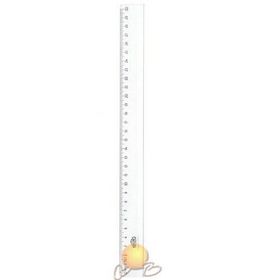 Hataş 30 cm Mikyas Cetveli